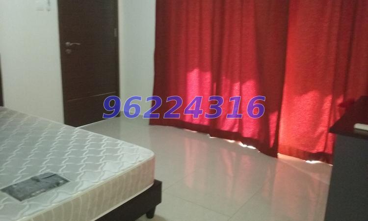 Lorong Mydin (D14), Semi-Detached #171783912